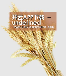 开云APP下载 - undefined